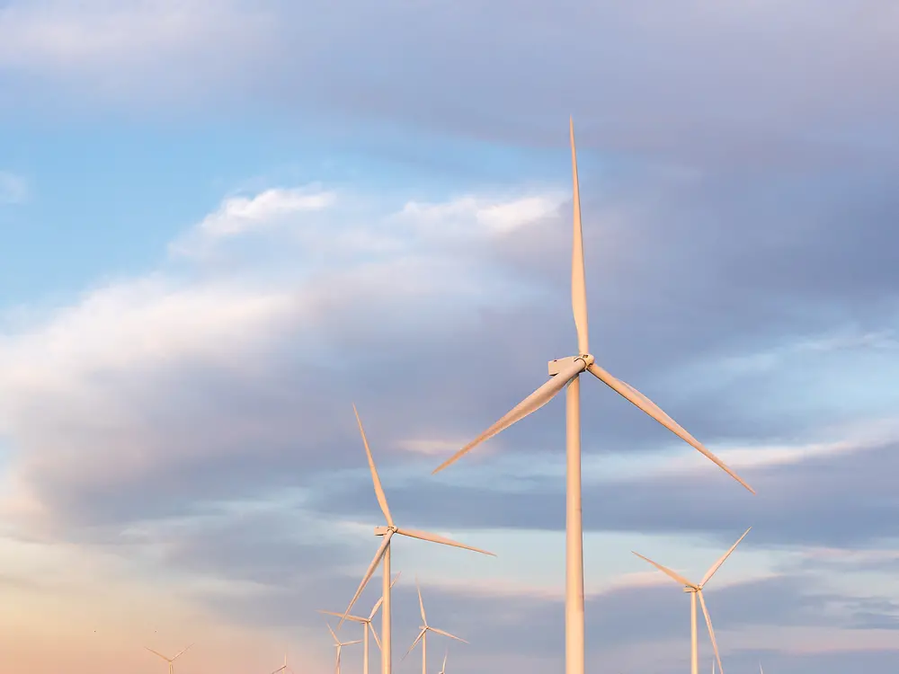 Der neue Windpark in Bee County, Texas, USA