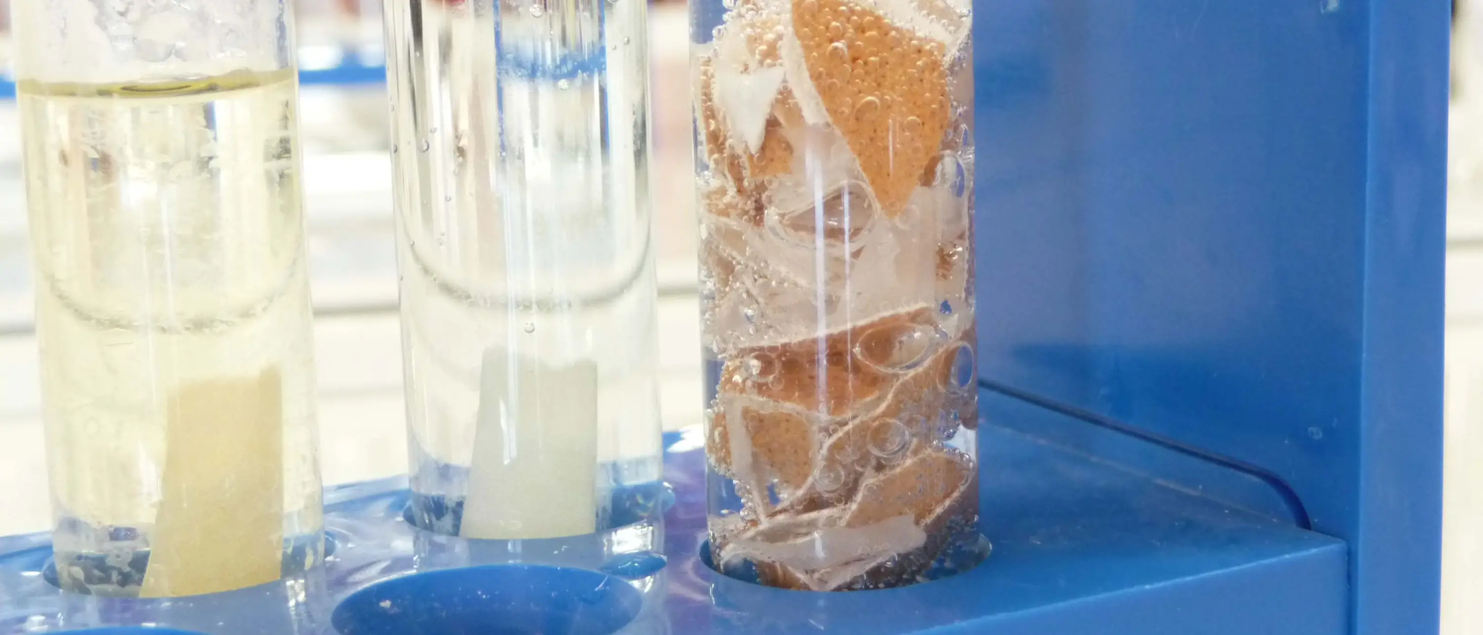 close up of test tubes with eggshells in liquid