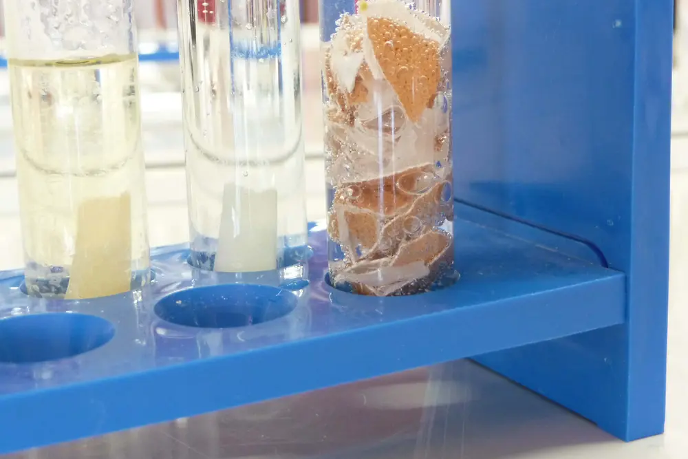 close up of test tubes with eggshells in liquid