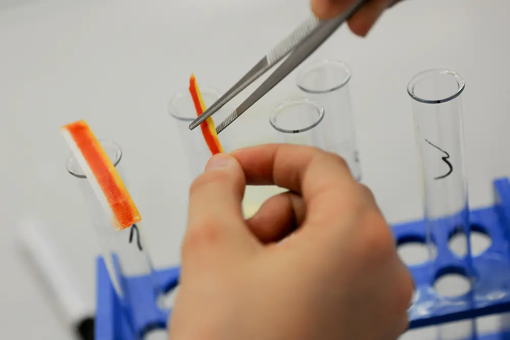 close up of hands holding pH test stripe with tweezer