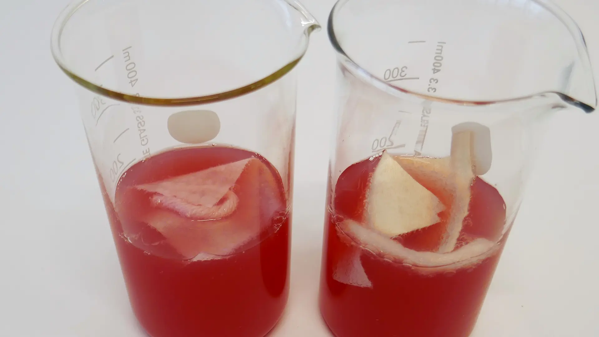 two beakers with red liquid, pieces of cloth and threads