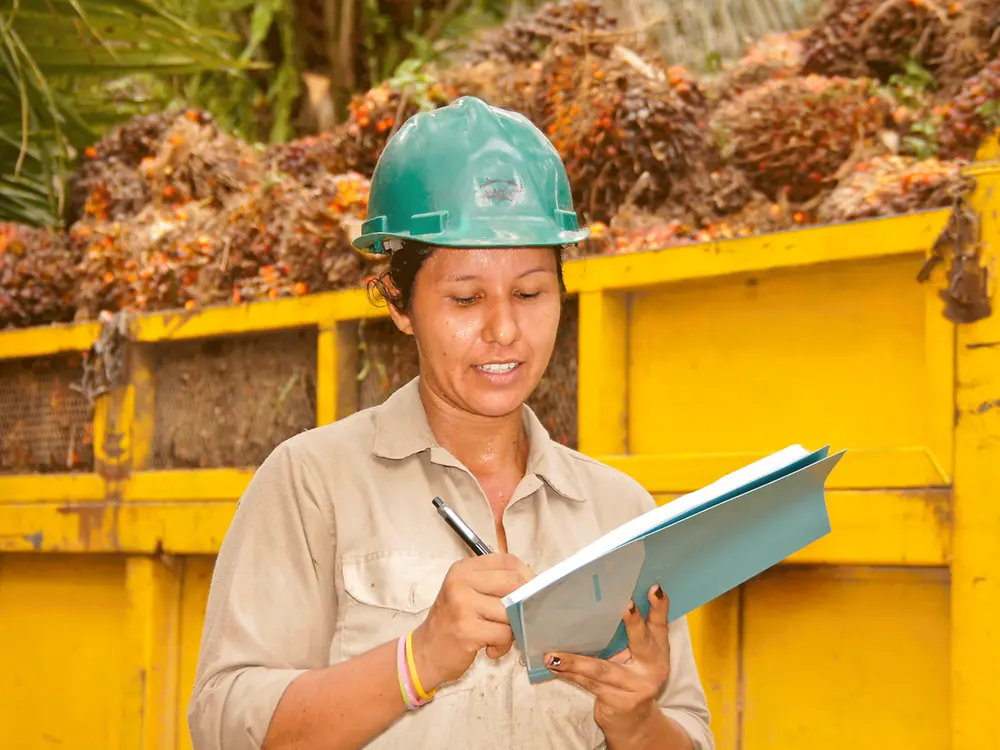 Creating traceability in the palm oil supply chain 