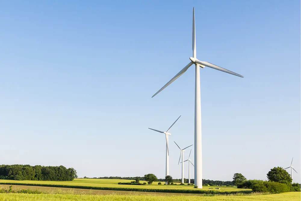 Windräder auf einem Feld