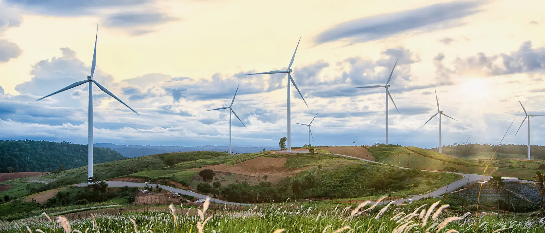 Several windmills on green overgrown grass hills