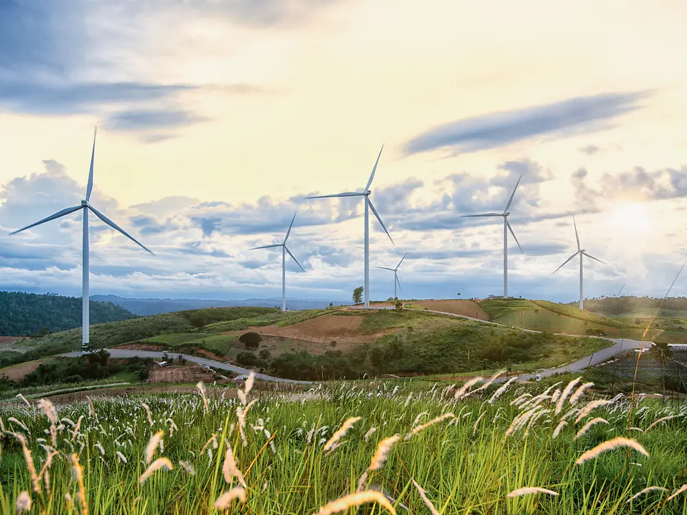 Several windmills on green overgrown grass hills