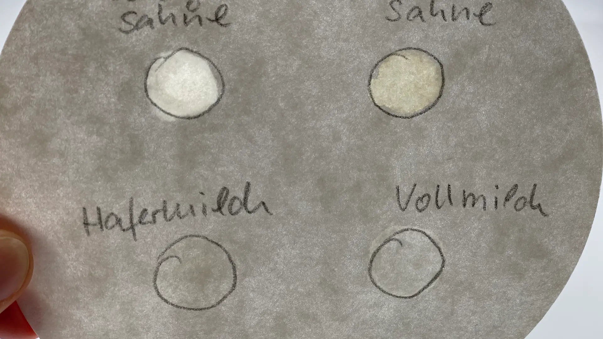 Round filter paper with four different sized grease spots: top left cream grease spot, top right coffee cream grease spot, bottom left oat milk grease spot, bottom right whole milk grease spot.